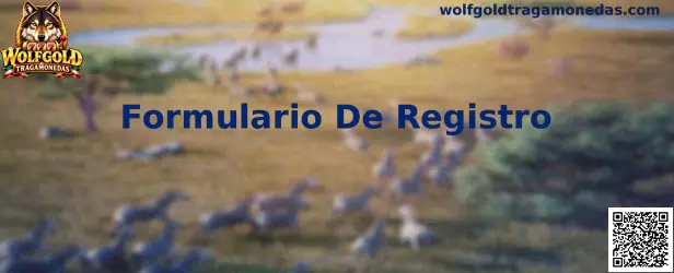 Guía visual sobre el Formulario De Registro de Wolfgold Tragamonedas
