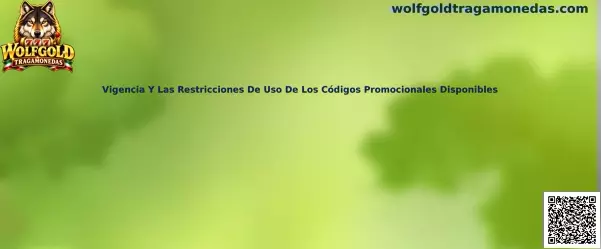 Vigencia y restricciones de códigos promocionales disponibles
