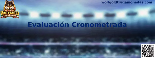 Evaluación Cronometrada de Wolfgold Tragamonedas