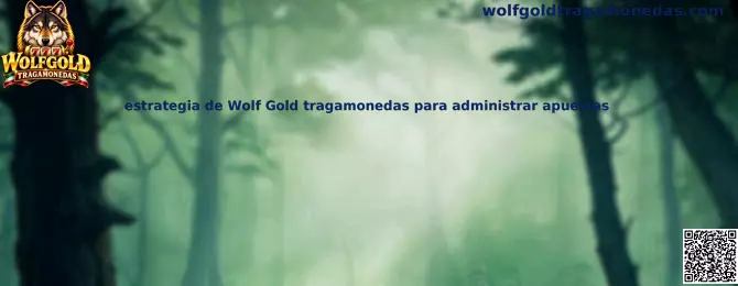 Guía visual sobre la estrategia de Wolf Gold tragamonedas para administrar apuestas y organizar límites de juego