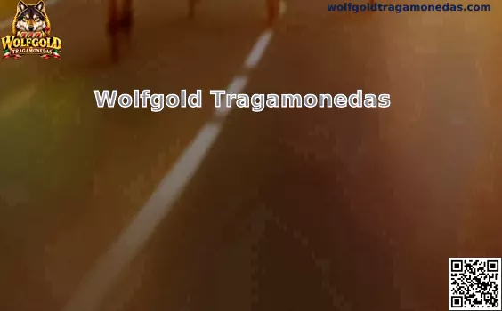 Wolfgold Tragamonedas y sus principales características